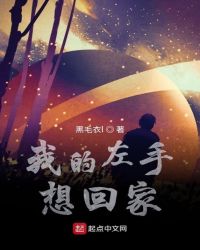 我的左手想回家章节列表