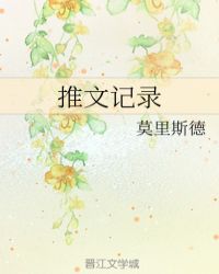 推文记录章节列表