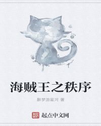 海贼王之秩序章节列表