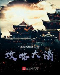 攻略大清章节列表