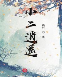 小二逍遥章节列表