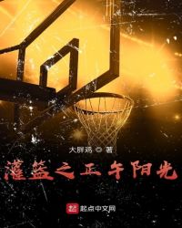 灌篮之正午阳光章节列表