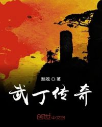 武丁传奇章节列表