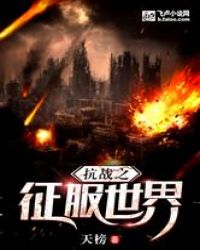 抗战之征服世界章节列表