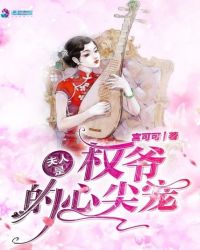 夫人是权爷的心尖宠章节列表