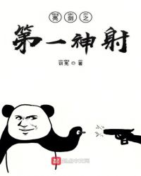 亮剑之第一神射章节列表