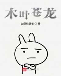 木叶苍龙章节列表