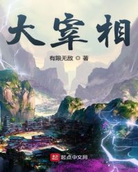 大宰相章节列表
