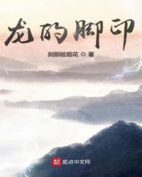 龙的脚印章节列表