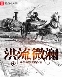 洪流微澜章节列表