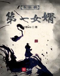 永乐朝第一女婿章节列表