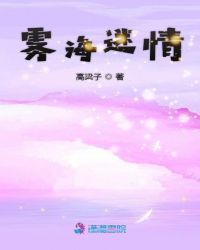 雾海迷情章节列表