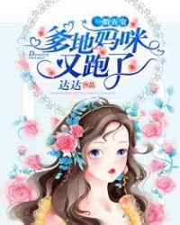 爹地妈咪又跑了章节列表