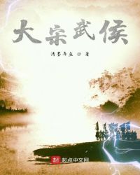 大宋武侯章节列表