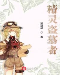 精灵盗墓者章节列表