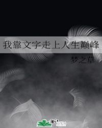 我靠文字走上人生巅峰章节列表