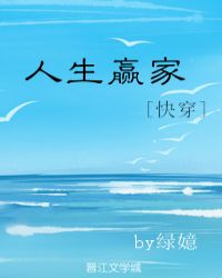 人生赢家章节列表