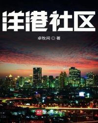 洋港社区章节列表