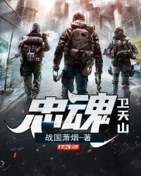 忠魂卫天山章节列表