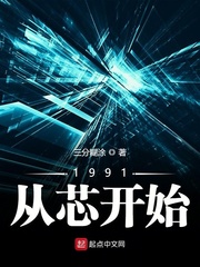 1991从芯开始章节列表