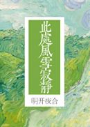 此处风雪寂静章节列表