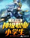 王者荣耀：神级职业小学生章节列表