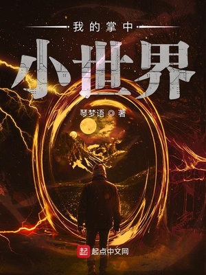 我的掌中小世界章节列表