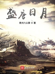 盛唐日月章节列表
