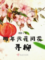 那年元夜问花寻柳章节列表