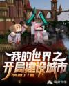 我的世界之开局建设城市章节列表
