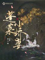 蓬莱小娇妻章节列表
