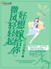 微风轻轻起好想嫁给你章节列表