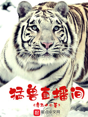 猛兽直播间(廖不十)小说免费txt章节列表