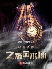 艾伯特哈利波特之炼金术师章节列表