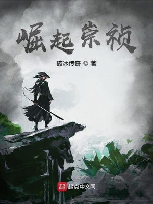 司马九章节列表