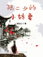 陆二少的小娇妻章节列表