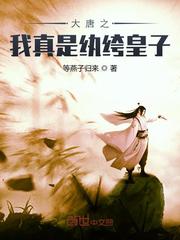 大唐之我真是纨绔皇子章节列表