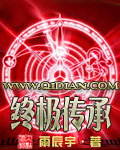 终极传承章节列表