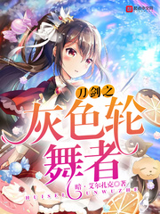 刀剑之灰色轮舞者章节列表