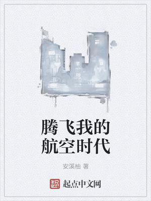 腾飞我的航空时代章节列表