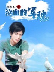 泣血的军魂章节列表