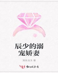 辰少的溺宠娇妻章节列表
