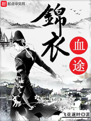 锦衣血途章节列表