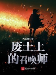 废土上的召唤师章节列表