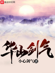 华山剑气章节列表