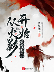 从火影开始做幕后黑手(浓墨浇书)章节列表