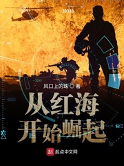 从红海开始崛起章节列表