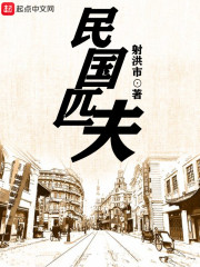 民国匹夫章节列表