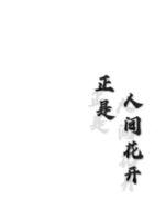 正是人间花开章节列表