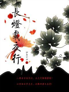 长灯载夜行章节列表